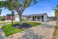  Royal Ann Dr, Union City CA