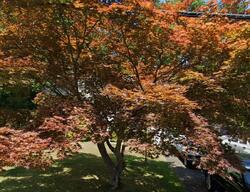 Pre-foreclosure in  MARTIN RD Whippany, NJ 07981