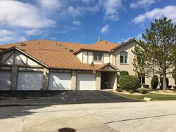 Pre-foreclosure in  PINE TRAIL LN  Tinley Park, IL 60477