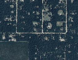 Pre-foreclosure in  BLUEBERRY LN Crawfordville, FL 32327