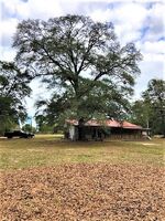 Pre-foreclosure in  GOODWIN RD Defuniak Springs, FL 32435