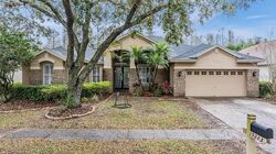 Pre-foreclosure in  WIND DANCER ST Lutz, FL 33558