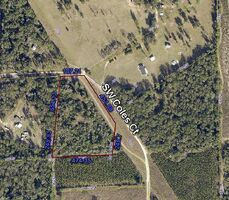 Pre-foreclosure in  SW CANTERBURY CT Lake City, FL 32024