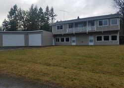Pre-foreclosure in  W BULLDOZER FLTS Shelton, WA 98584