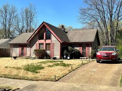 Pre-foreclosure in  OLDFIELD DR Memphis, TN 38134