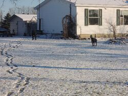Pre-foreclosure in  CATHOLIC CHURCH RD Stockbridge, MI 49285