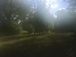 Pre-foreclosure in  S WABASH CIR Denver, CO 80231