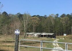 Pre-foreclosure in  LEE ROAD 166 Opelika, AL 36804