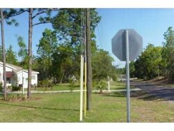 Pre-foreclosure in  W CORRAL PL Beverly Hills, FL 34465