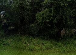  Coldwater Ln, North Port FL
