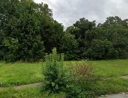 Pre-foreclosure in  W DEWEY AVE Youngstown, OH 44507