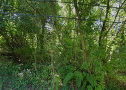 Pre-foreclosure in  STATE ST Youngstown, OH 44506