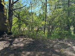 Pre-foreclosure in  CORCORAN RD Kalama, WA 98625