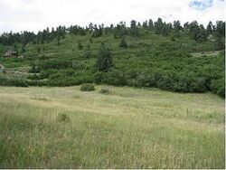 Pre-foreclosure in  SHILOH POINT DR Littleton, CO 80127