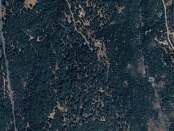 Pre-foreclosure in  FRENCHTOWN RD Brownsville, CA 95919