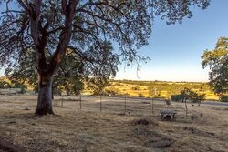 Pre-foreclosure in  STATE HIGHWAY 49 Cool, CA 95614