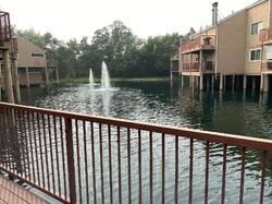 Pre-foreclosure in  ARCADE LAKE LN Citrus Heights, CA 95610