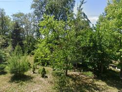 Pre-foreclosure in  ORCHID DR Genoa City, WI 53128