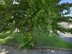 Pre-foreclosure in  POPLAR AVE Pompton Lakes, NJ 07442