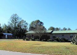 Pre-foreclosure in  WILEY SCOTT RD Jay, FL 32565