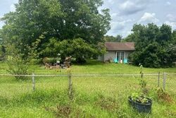  F St, Daleville AL