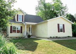 Pre-foreclosure in  CINNAMON LN Leslie, MI 49251
