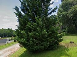 Pre-foreclosure in  NEWTON HILL RD Pickens, SC 29671