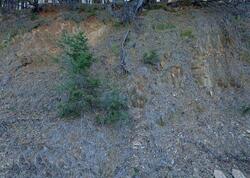 Pre-foreclosure in  HILL ST Colfax, CA 95713