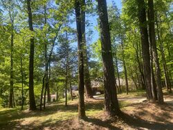 Pre-foreclosure in  JOHN BARNES RD Calhoun, LA 71225