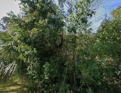 Pre-foreclosure in  JOHN ANDERSON HWY Flagler Beach, FL 32136