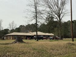 Pre-foreclosure in  IRELAND WILLIAMS RD Waskom, TX 75692