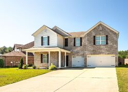 Pre-foreclosure in  BLACKBERRY BLVD Springville, AL 35146