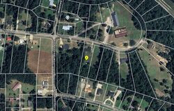 Pre-foreclosure in  NICHOLS RD Mc Intosh, AL 36553