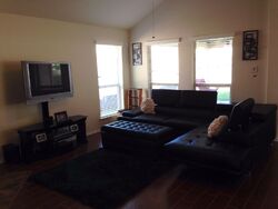  Trail Manor Dr, Pearland TX