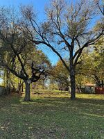 Pre-foreclosure in  S MAGNOLIA ST Aubrey, TX 76227