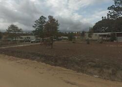 Pre-foreclosure in  REEDY O SMITH RD Leesville, SC 29070