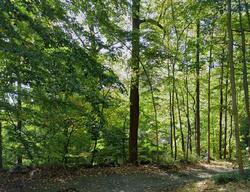 Pre-foreclosure in  SUSSEX AVE Morristown, NJ 07960