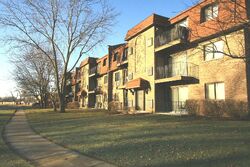 Pre-foreclosure in  W BRANDON CT UNIT 35D Palatine, IL 60067