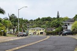 Pre-foreclosure Listing in OHU RD KAPAA, HI 96746