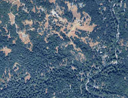 Pre-foreclosure Listing in KRAMER RD CAZADERO, CA 95421