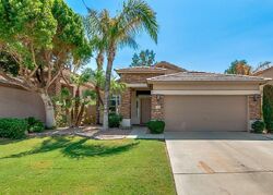  W Rockrose Pl, Chandler AZ