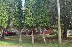 Pre-foreclosure in  LAKE OF THE PINES BLVD S East Stroudsburg, PA 18302