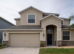 Pre-foreclosure in  MORGONS CASTLE CT Land O Lakes, FL 34638