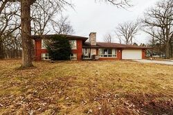Pre-foreclosure in  S STONEY ISLAND AVE Crete, IL 60417