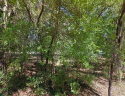 Pre-foreclosure in  BRANTLEY RD Lithia, FL 33547