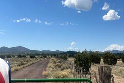 Pre-foreclosure in  N TD WAY Williams, AZ 86046