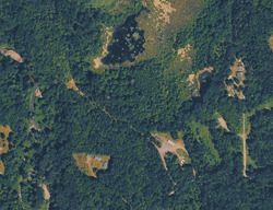 Pre-foreclosure in  273RD AVE E Buckley, WA 98321