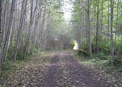 Pre-foreclosure in  MENLO DR Longview, WA 98632