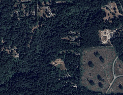 Pre-foreclosure in  199TH AVE SE Monroe, WA 98272