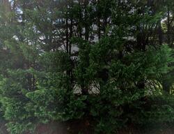 Pre-foreclosure in  PRITCHETT FARM RD Dry Fork, VA 24549